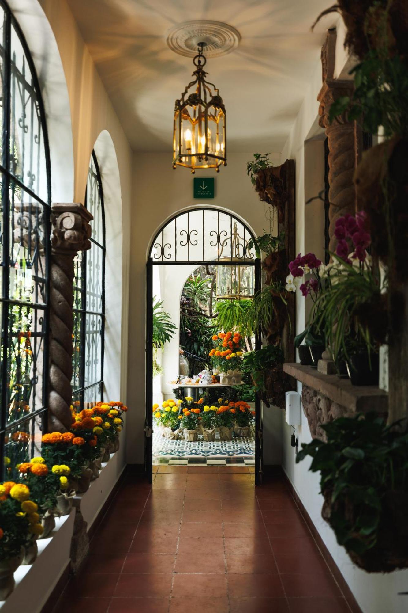 Orchid House Polanco Hotel Mexico City Exterior photo